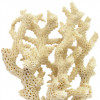 Life Impulse® Complex Coral Calciu si Magneziu